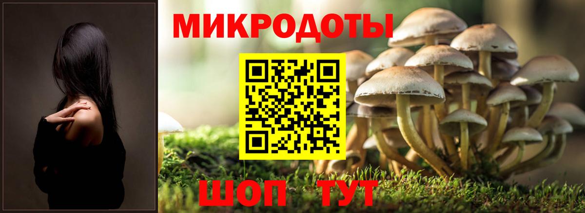 Галлюциногенные грибы Magic Shrooms  Вход с VPN  Сургут  Галлюциногенные грибы Psilocybine cubensis 
